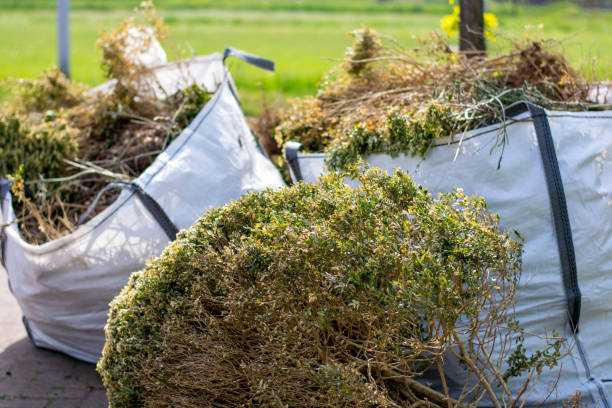 Trusted Layton, UT Junk Removal Services Experts
